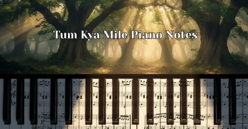 Tum Kya Mile Piano Notes